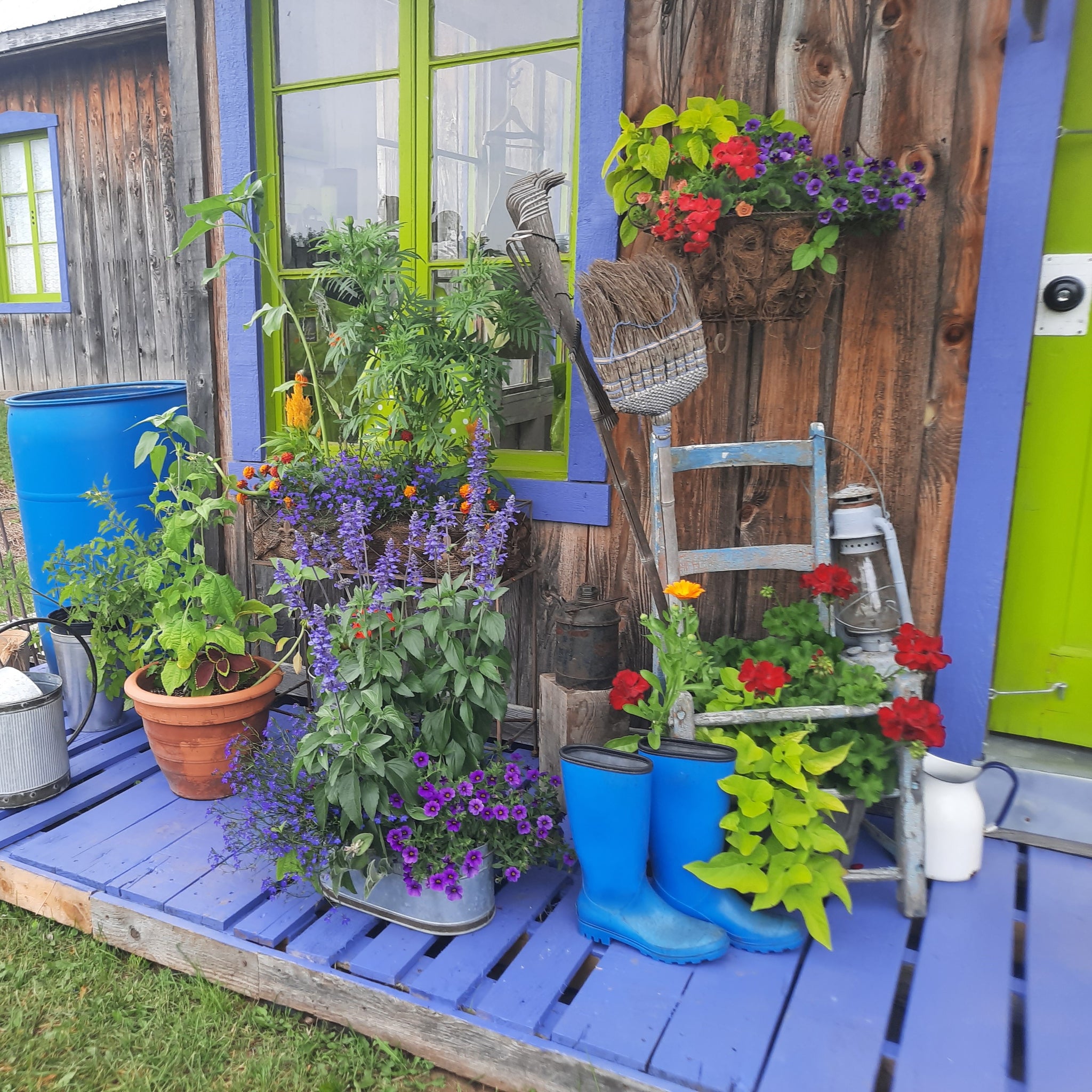 L'ABC du jardinage biologique Module (1) Retour printemps 2025 À